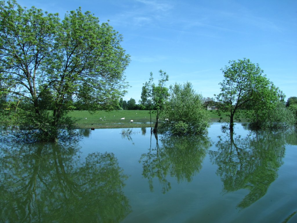 img_6890.jpg