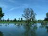 img_6897_small.jpg