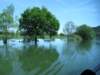img_6898_small.jpg