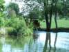img_6900_small.jpg