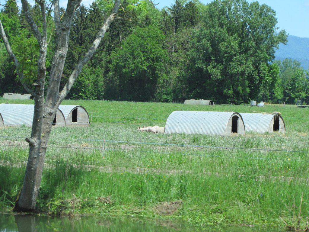 img_6906.jpg