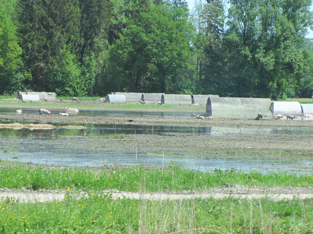img_6915.jpg