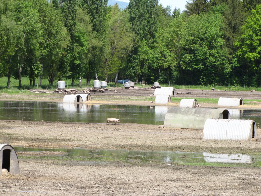 img_6960.jpg