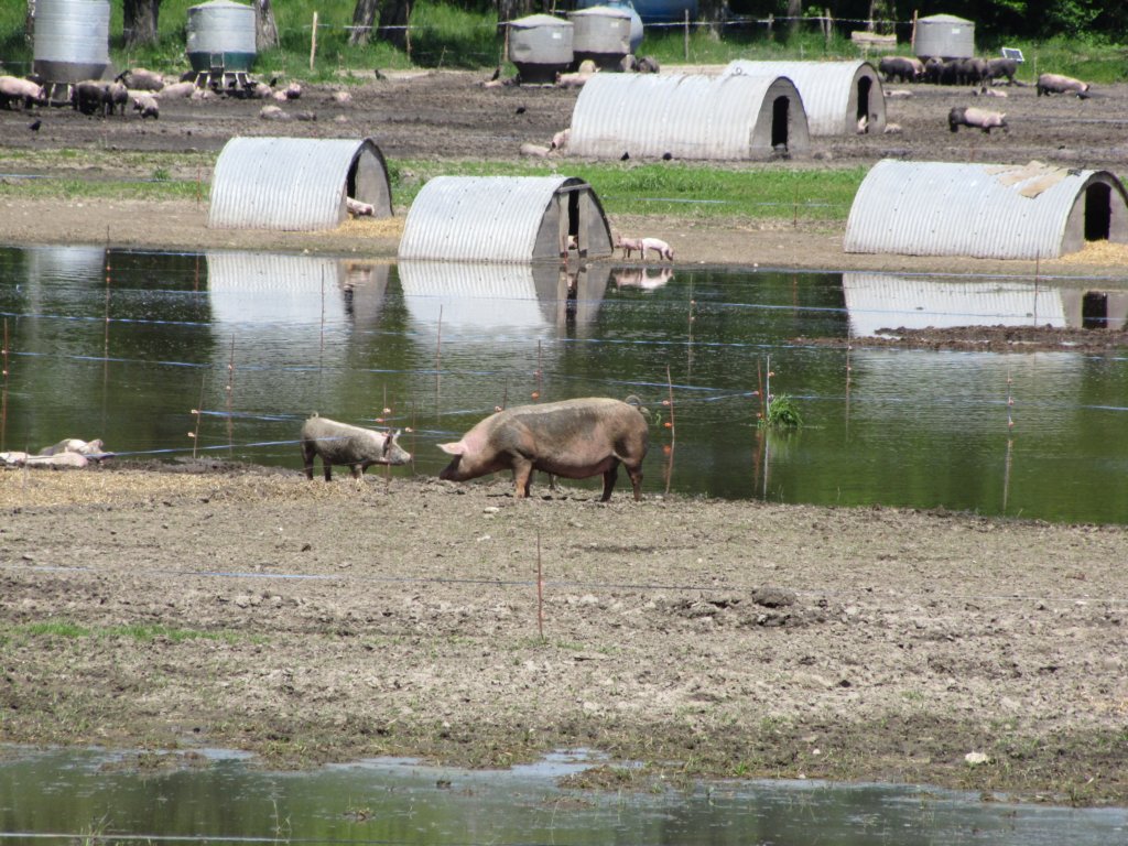 img_6962.jpg