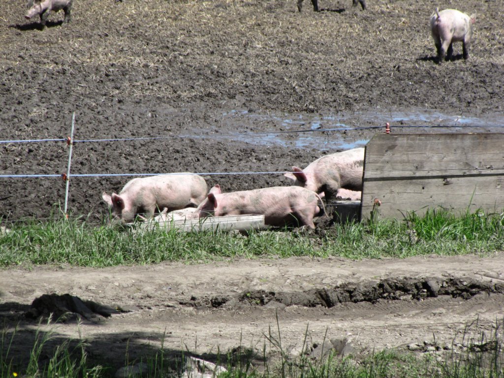 img_6968.jpg