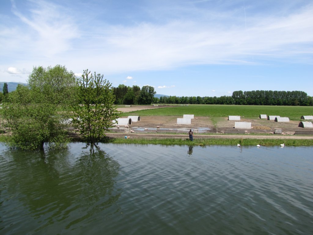 img_6970.jpg