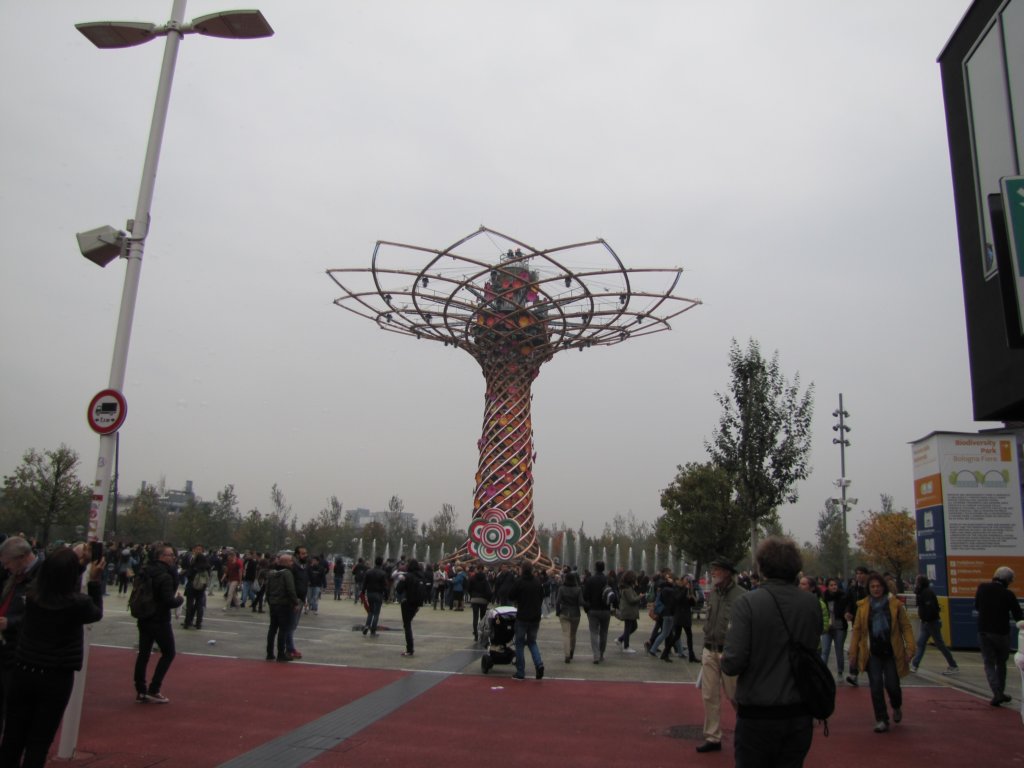 oct2015112.jpg