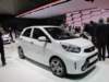 kiapicanto11_small.jpg