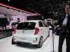 kiapicanto7_small.jpg