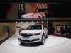 qoros3citysuv47_small.jpg