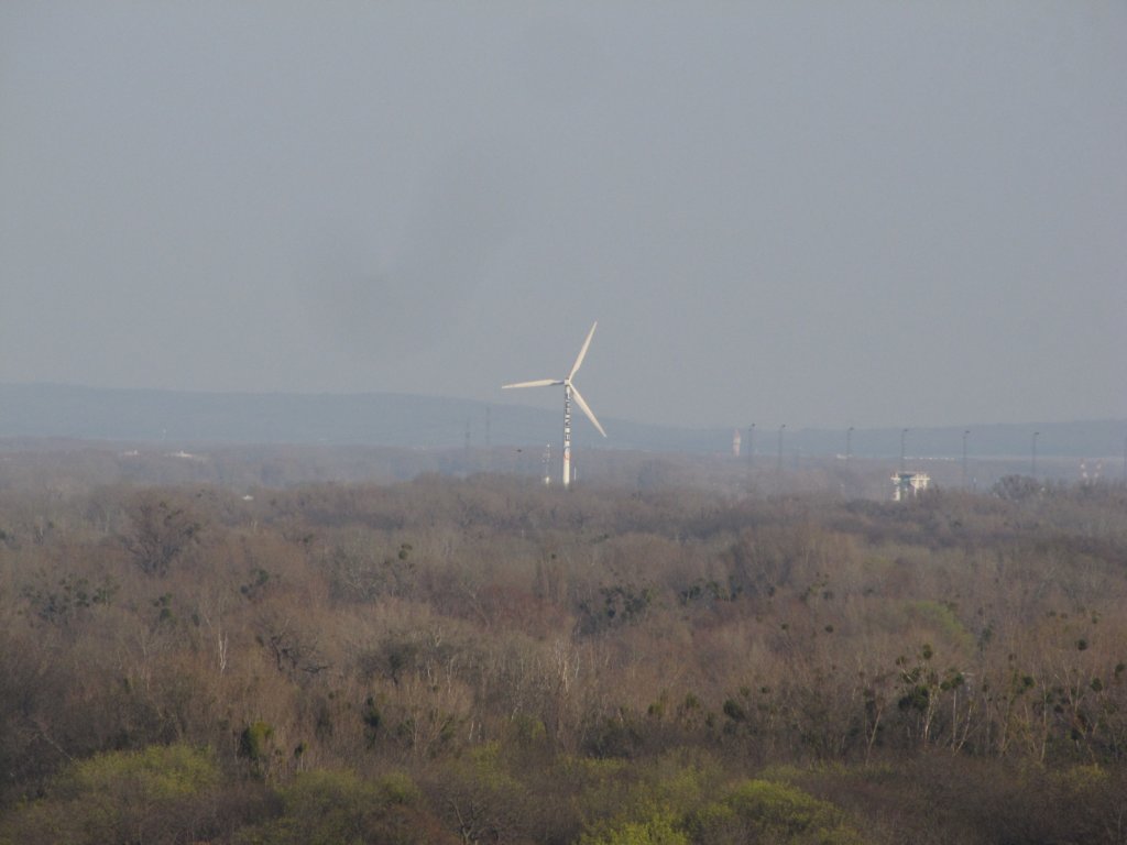 apr2015331.jpg
