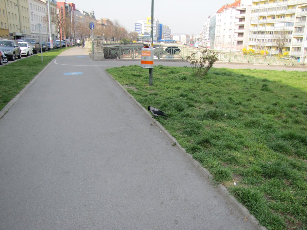 apr20158.jpg