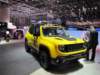 jeeprenegadetrailhawk_small.jpg