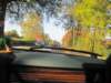 ford4eyedfoxmustanghatchback23l140cuinturbocharged4cyl19793rdgeneration4_small.jpg