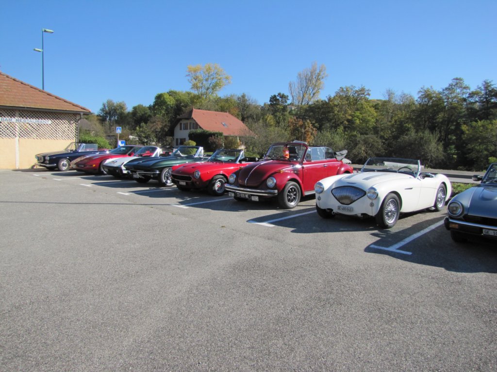 vwbeetle3.jpg