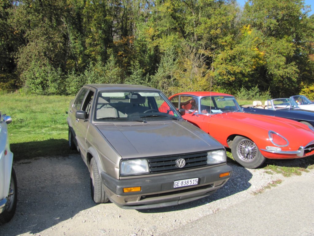 vwjetta2.jpg