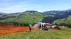_114918_small.jpg
