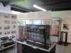 may2017bletchleypark23_small.jpg
