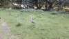 may2017londinium168_small.jpg