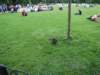 may2017londinium273_small.jpg
