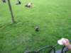 may2017londinium274_small.jpg