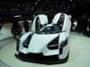 scg0037_small.jpg