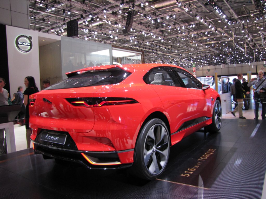 jaguaripace2.jpg