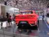 jaguaripace5_small.jpg