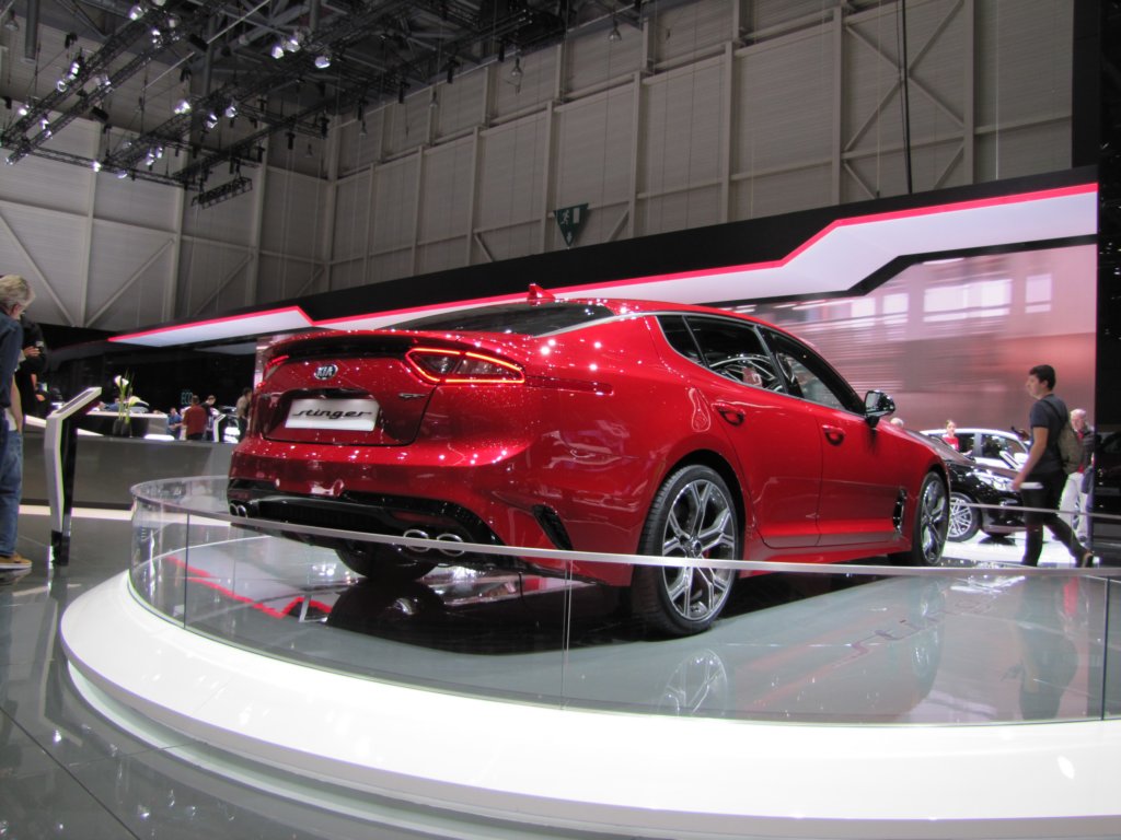 kiastinger10.jpg
