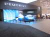 peugeotinstinctconcept16_small.jpg