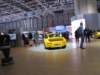 rufctr15_small.jpg