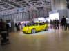 rufctr6_small.jpg
