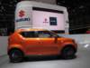 suzukiignis11_small.jpg
