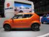 suzukiignis17_small.jpg