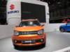 suzukiignis33_small.jpg