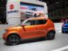 suzukiignis4_small.jpg