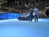 bugattichiron50_small.jpg