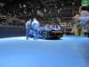 bugattichiron60_small.jpg