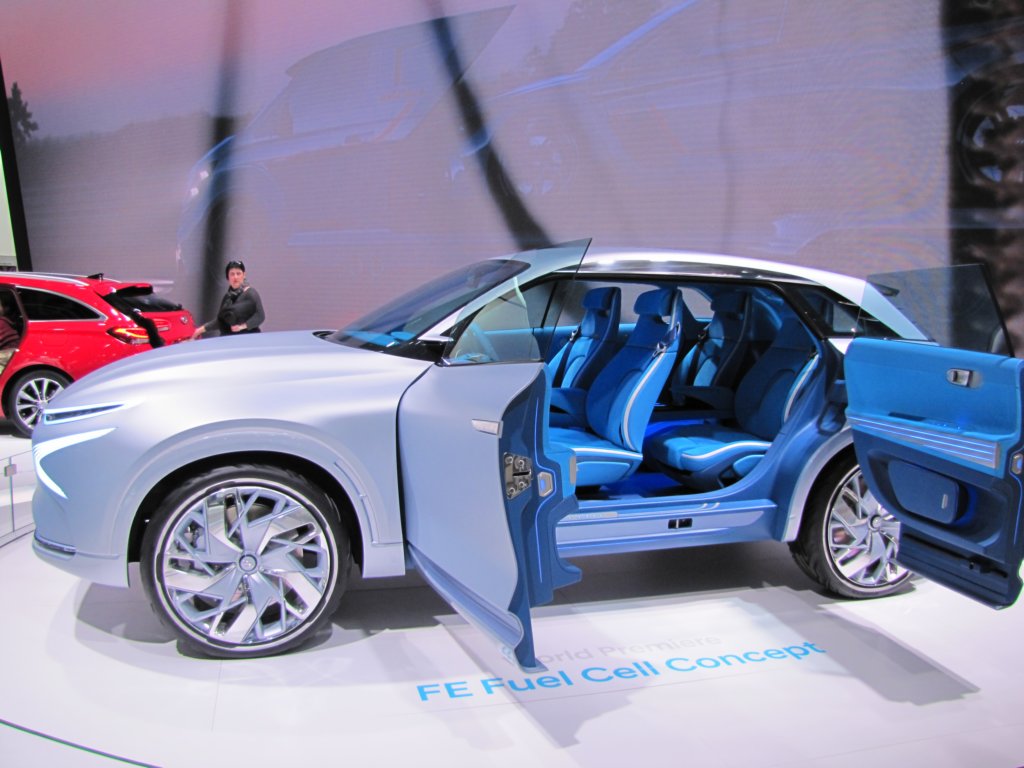hyundaifefuelcellconcept.jpg