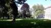 _173644_small.jpg