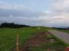 _203154_small.jpg