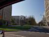 _105432_small.jpg
