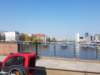 _110441_small.jpg