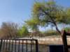 _150444_small.jpg