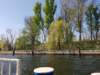 _152109_small.jpg