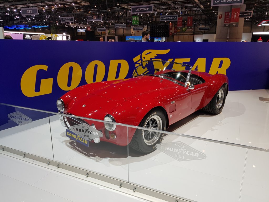 accobra42719654.jpg