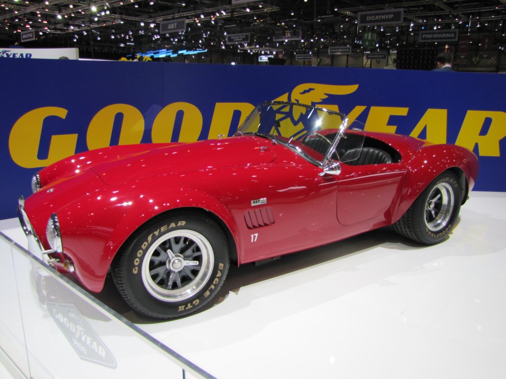 accobra42719656.jpg