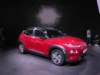 hyundaikonaelectric8_small.jpg