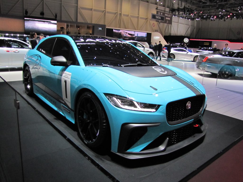 jaguaripaceetrophy5.jpg