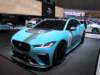 jaguaripaceetrophy7_small.jpg